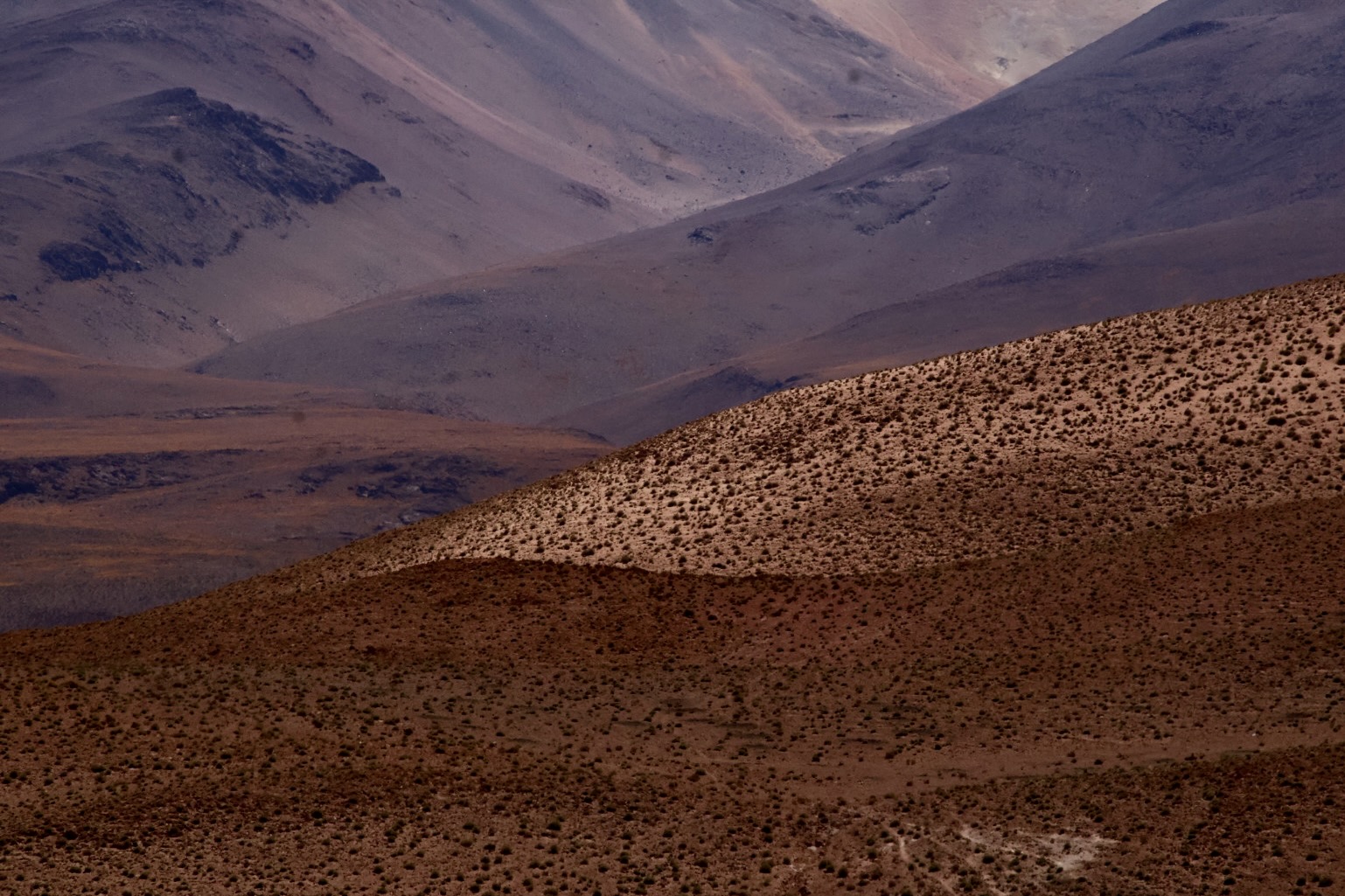 Puna Landscapes - Geometries and Cartographies